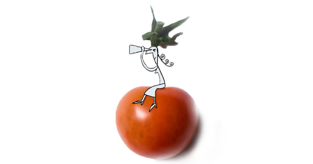 tomaat-zoeken-illustratie