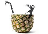 vakantie-koelkast-ananas-illustratie